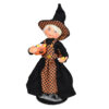 311726 9in Pumpkin Patchwork Witch