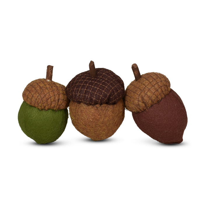 Set of Acorns