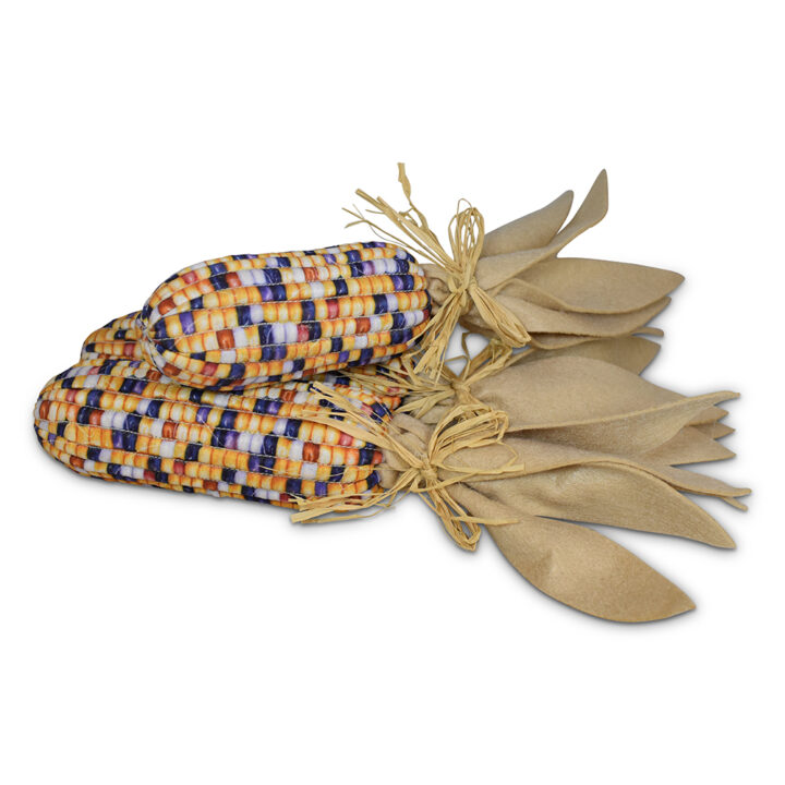 362226 Set of Indian Corn