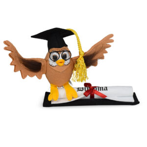 6in Wise Owl