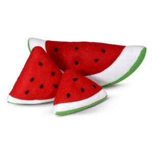 Set of Watermelon Wedges