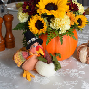 6in Turkey with Pumpkin